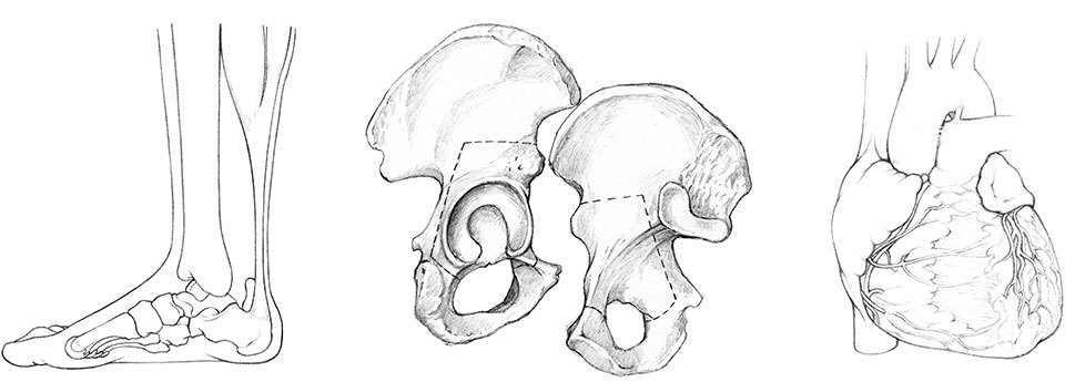 Croquis préparatoires